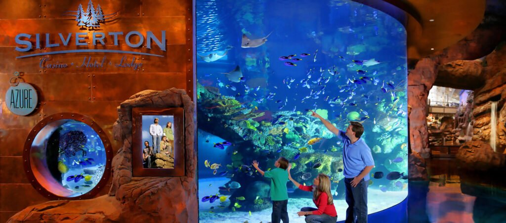 Silverton Casino: A Hidden Gem Beyond the Las Vegas Strip